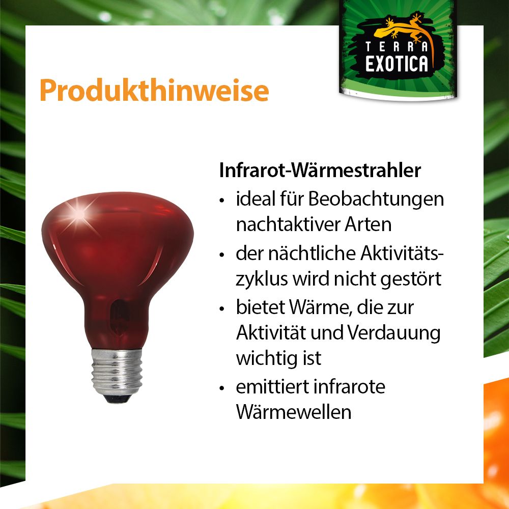  Infra Red - Infrarot Reflektorstrahler - 40-100 Watt